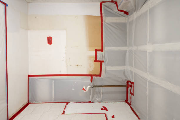  St Paul, NE Mold Removal Pros