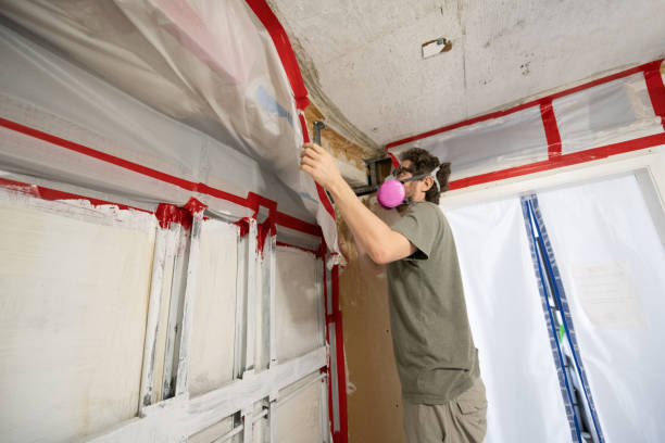 Mold Documentation for Insurance Claims in St Paul, NE